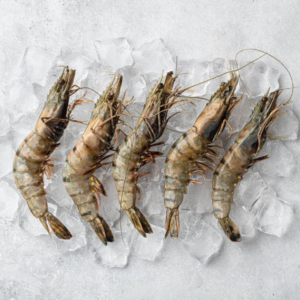 Black Tiger Shrimp / Black-Tiger-Garnelen