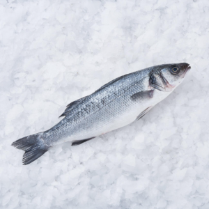 Whole Sea Bass / Ganze Wolfsbarsche